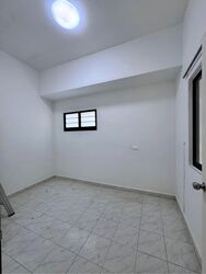 Shamrock Park (D10), Semi-Detached #572043111